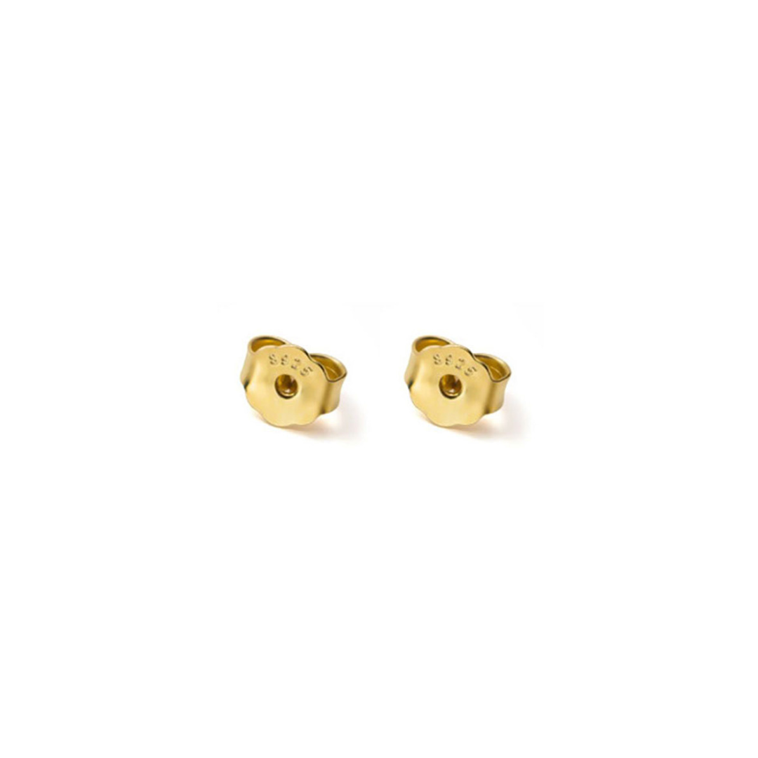 Earring Accessories