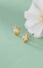 Ladybug Stud Earrings