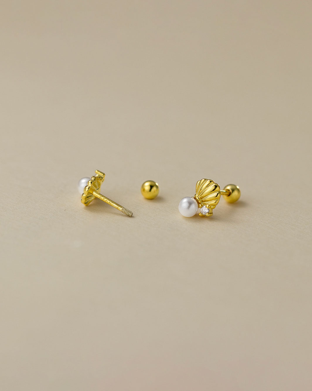 Seashell Barbell Earrings