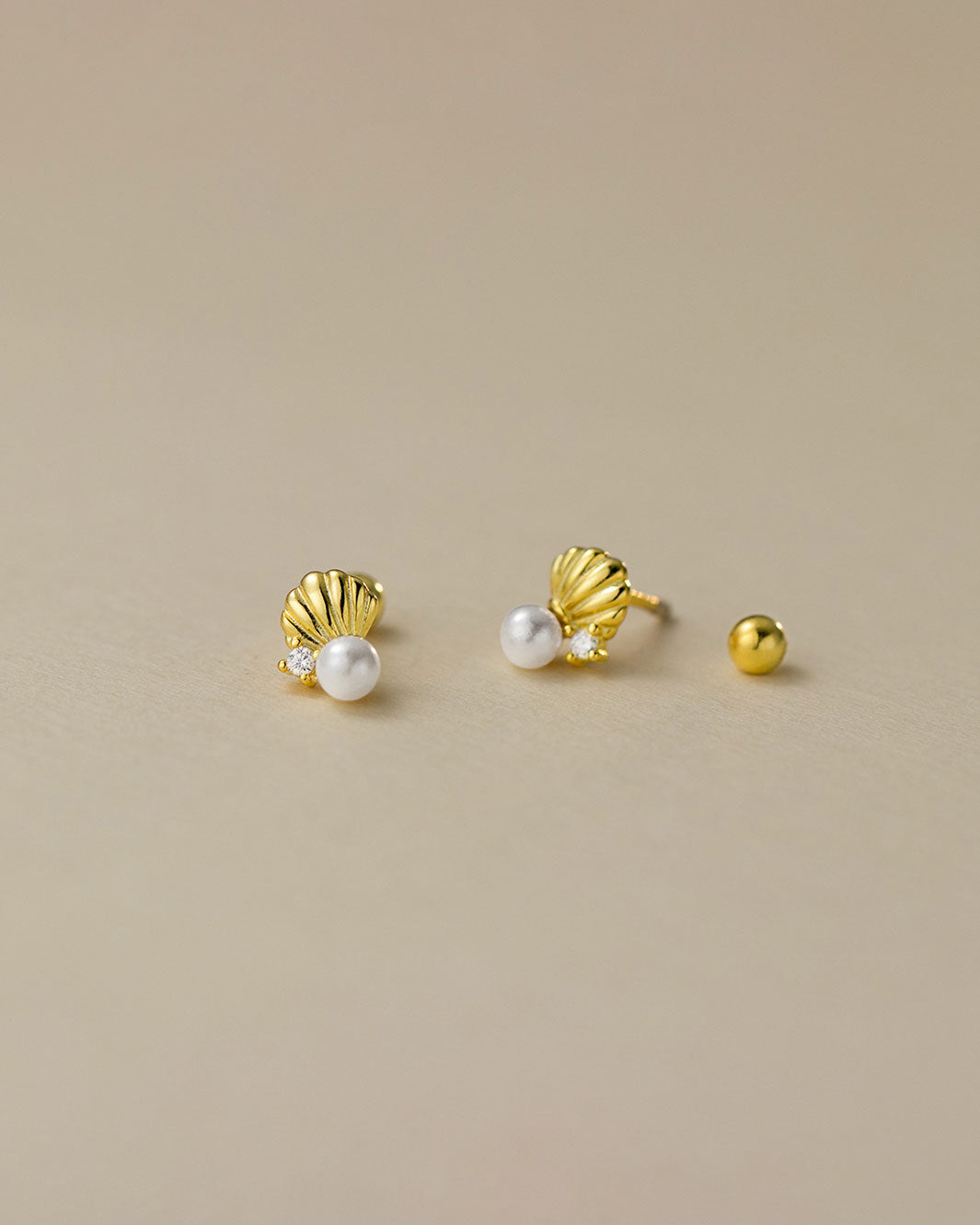 Seashell Barbell Earrings