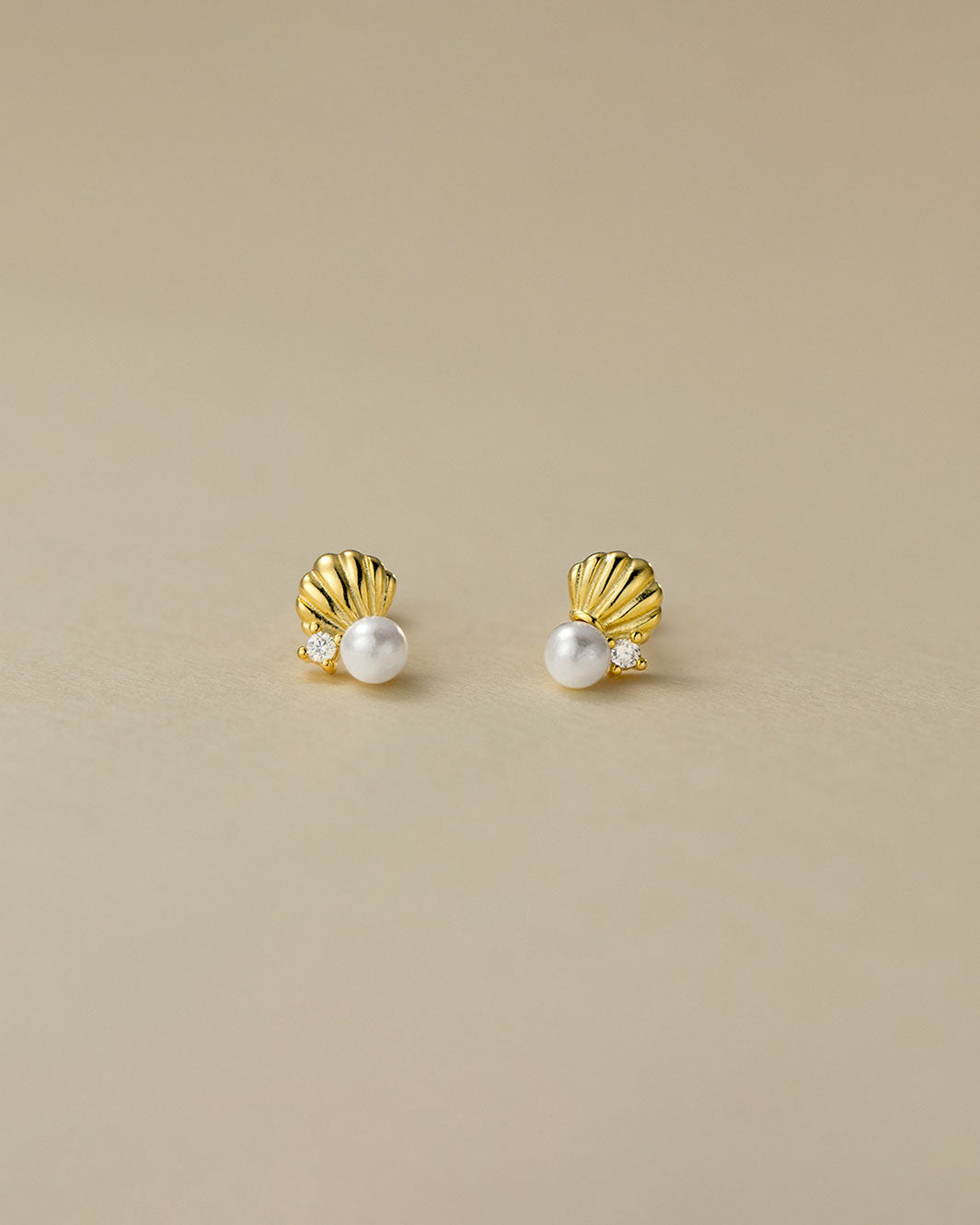 Seashell Barbell Earrings