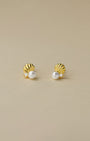 Seashell Barbell Earrings