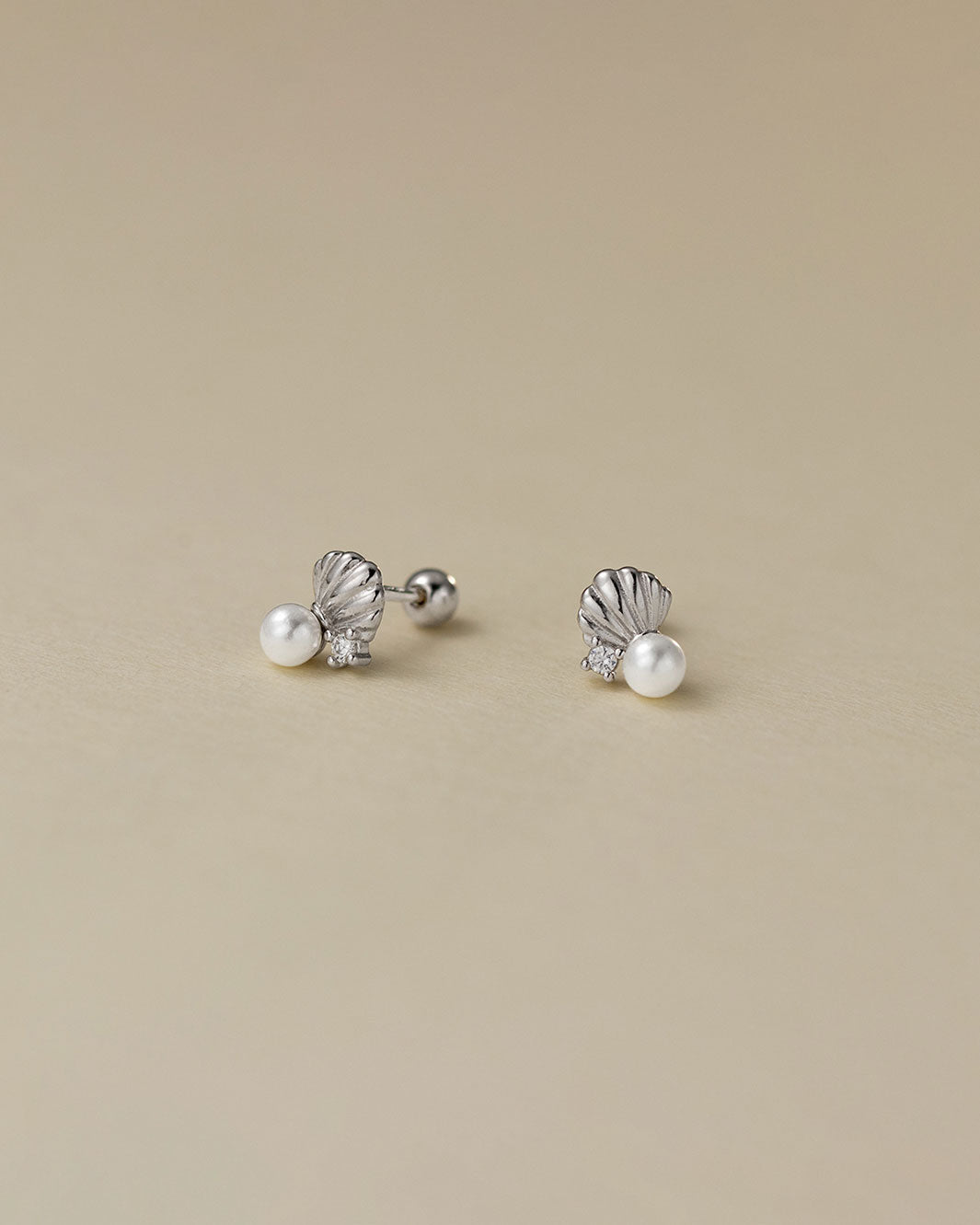 Seashell Barbell Earrings