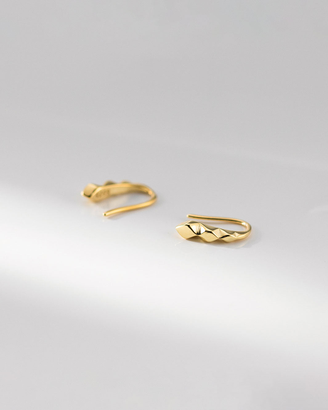 Sloane Faceted Stud Earrings