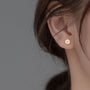 Daisy Stud Earrings