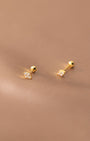 Kite Barbell Earrings