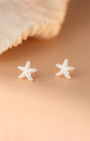 Starfish Stud Earrings
