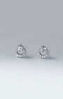 Starry Moon Stud Earrings