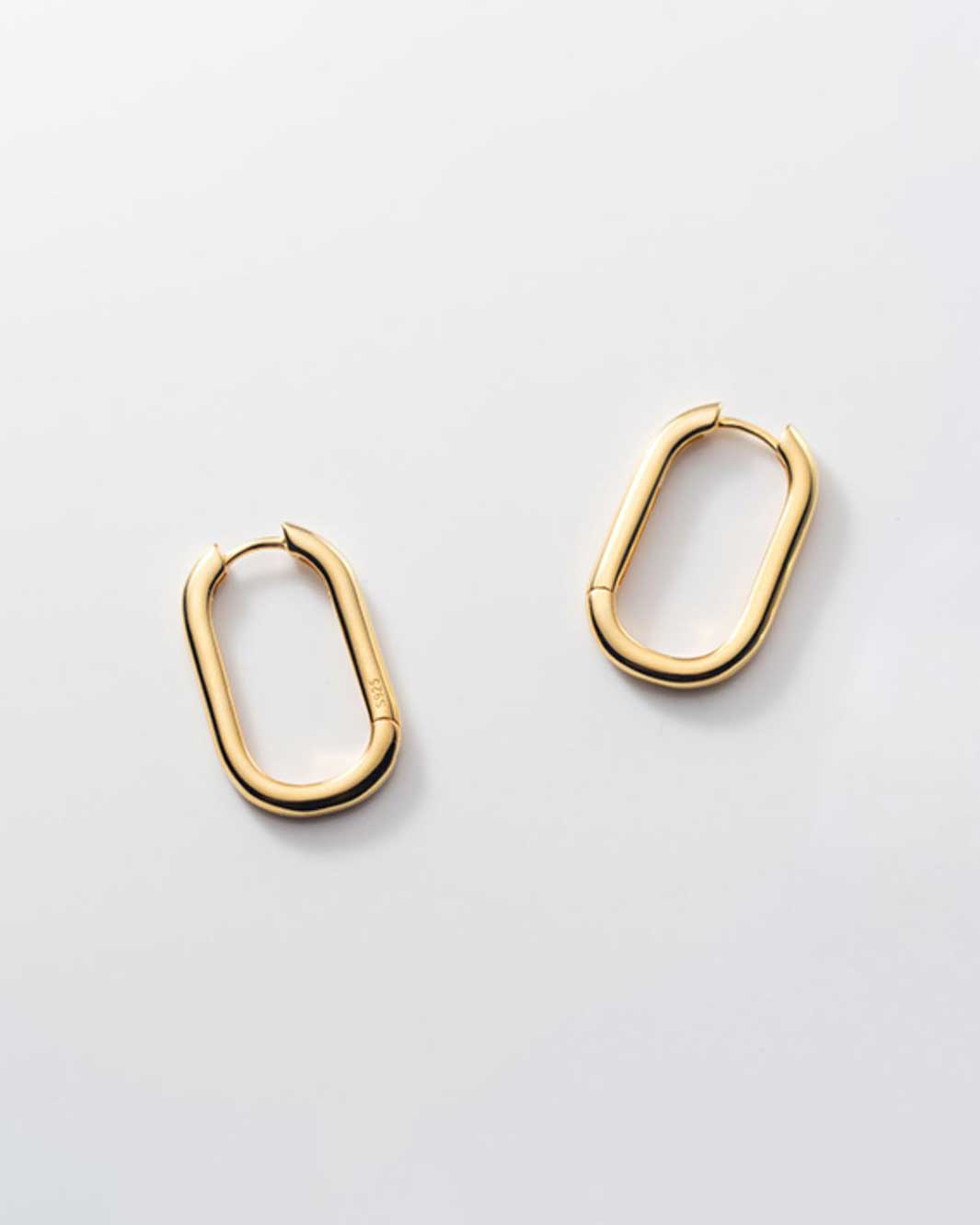 Oval Statement Hoop Earrings