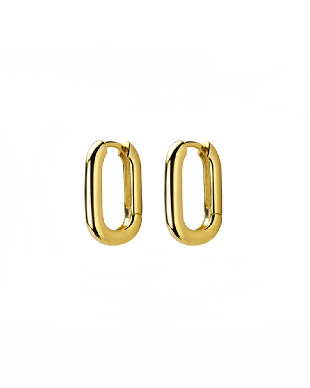 Oval Hoop Earrings