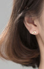 Olive Branch Stud Earrings