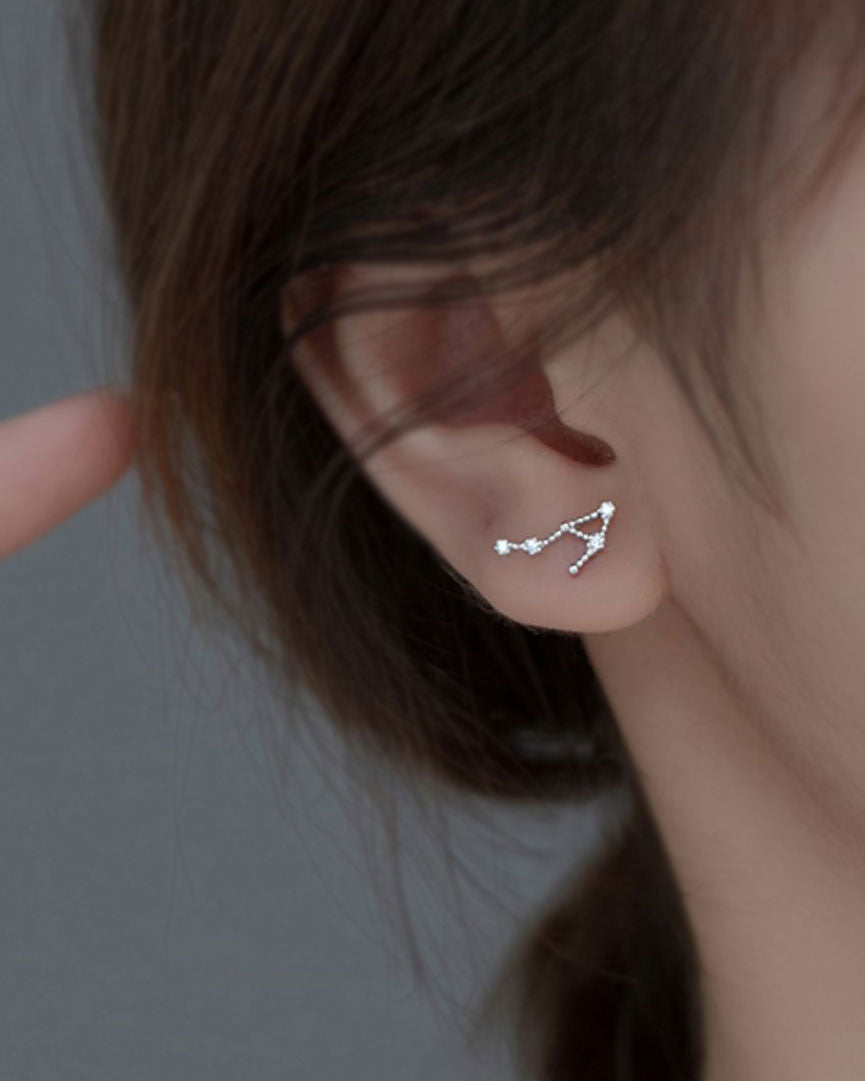 Zodiac Constellation Stud Earrings