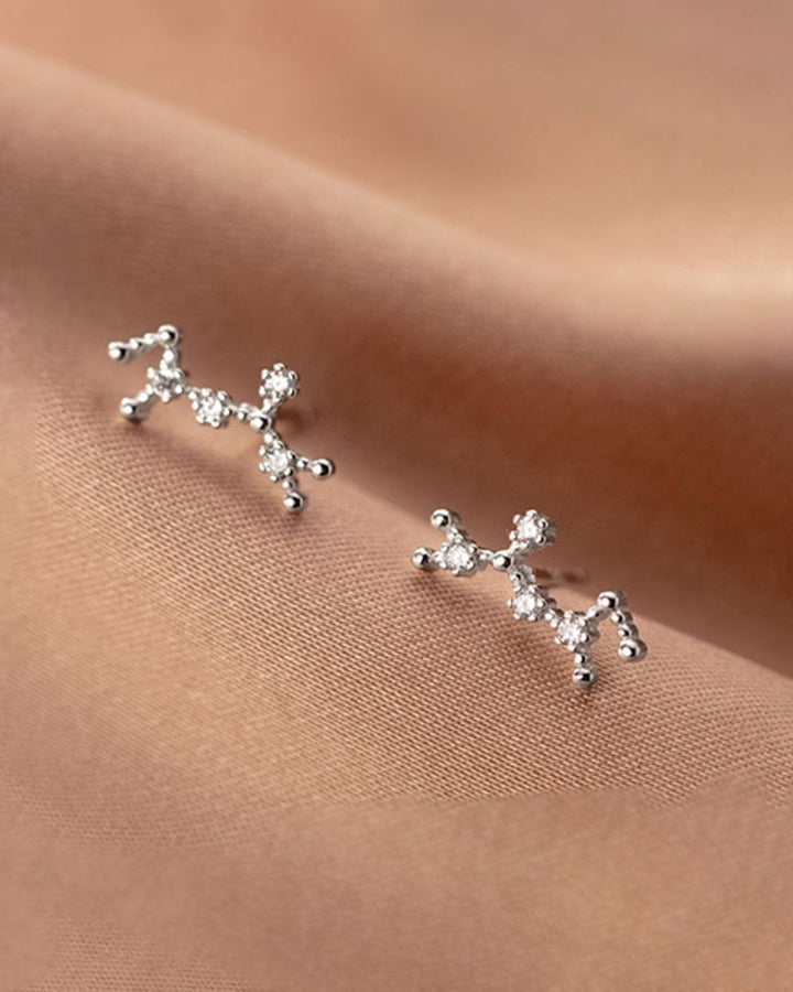 Zodiac Constellation Stud Earrings