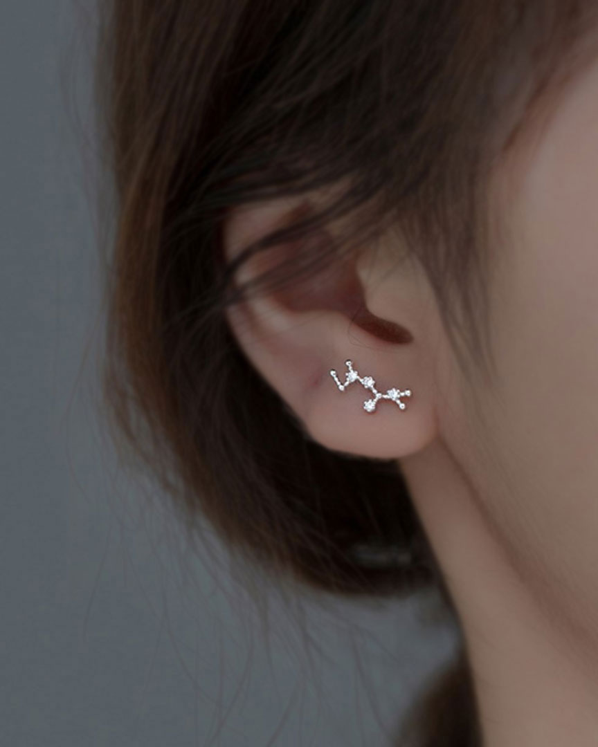 Zodiac Constellation Stud Earrings