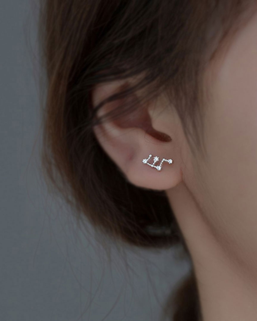 Zodiac Constellation Stud Earrings